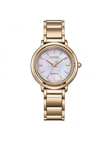 Orologio Citizen EM1103-86Y