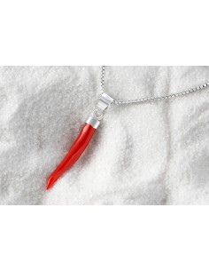 Cornetto in vero Corallo e argento con Catenina 2